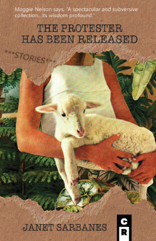 The Protester Has Been Released